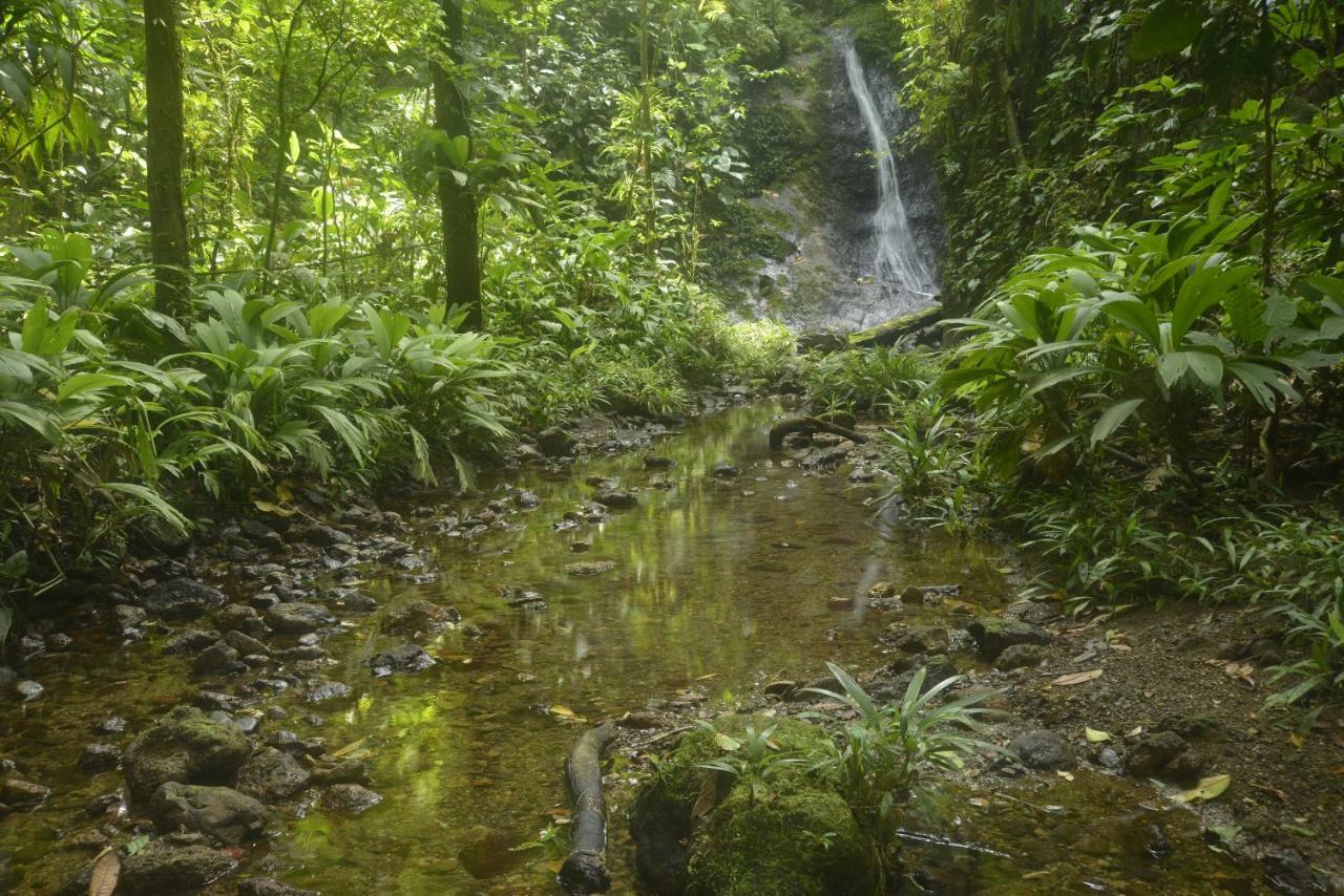 Punta Brava Villa Nuqui Luaran gambar