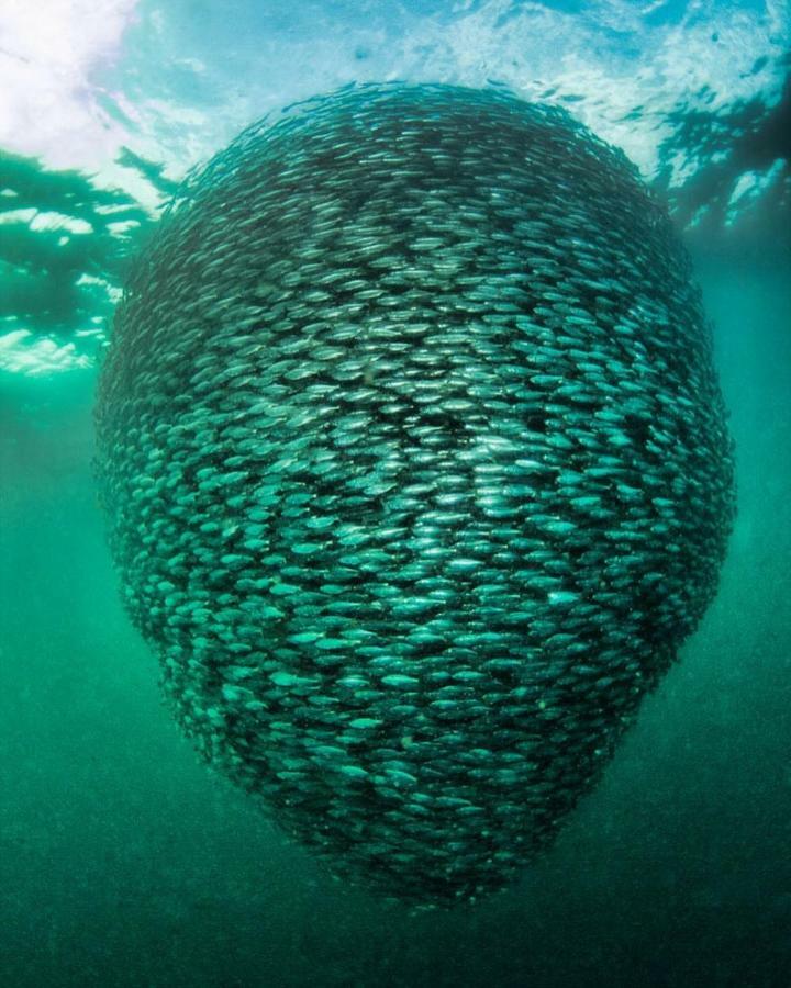 Punta Brava Villa Nuqui Luaran gambar